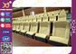 Pinte el asiento comercial del teatro de los apoyabrazos flexibles de la madera contrachapada para el sitio/el auditorio acústicos proveedor