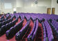 La iglesia plegable azul del auditorio de Hall Seats Small Back del teatro de conferencia preside en venta proveedor
